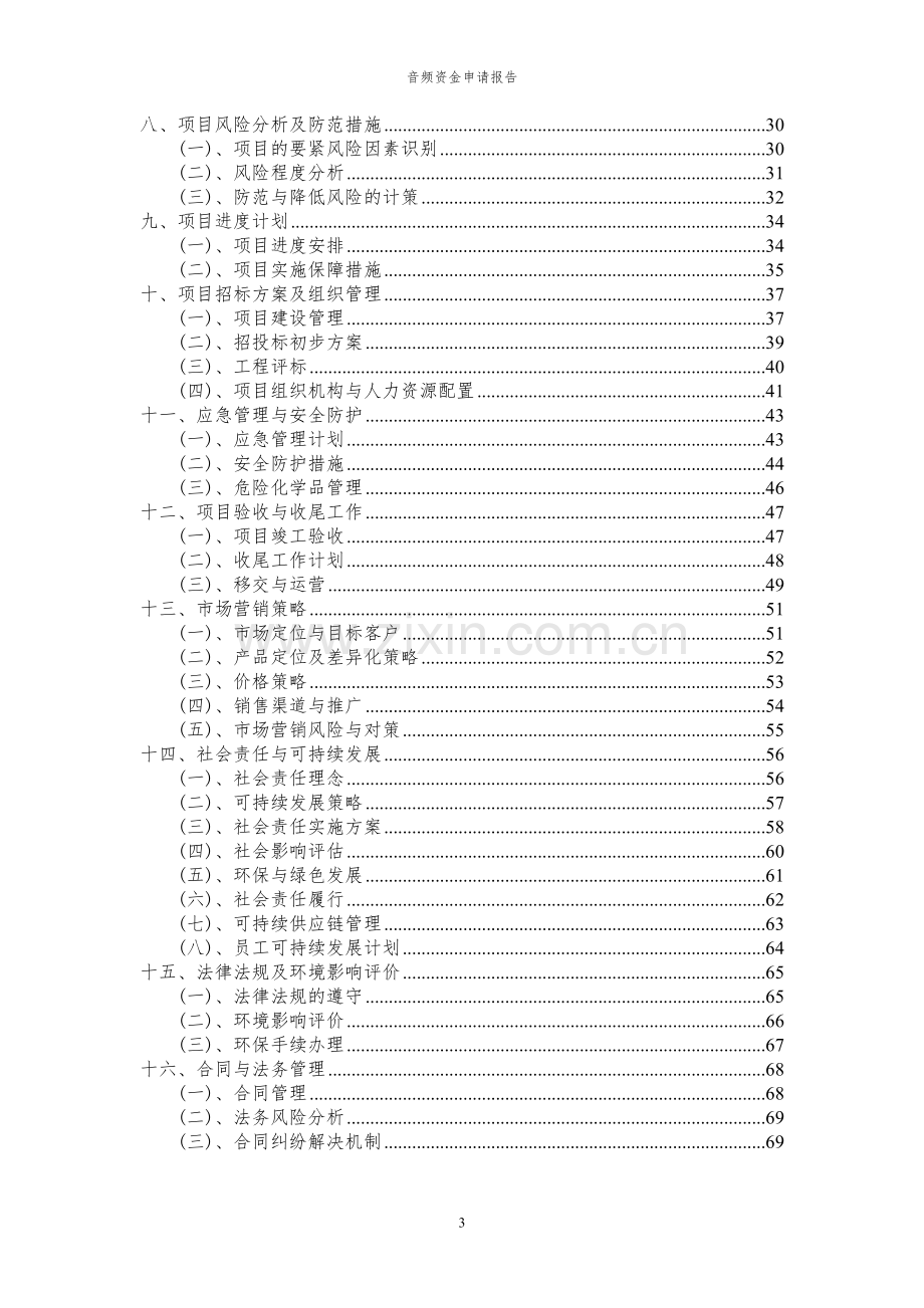 2024年音频投资项目资金申请报告.docx_第3页