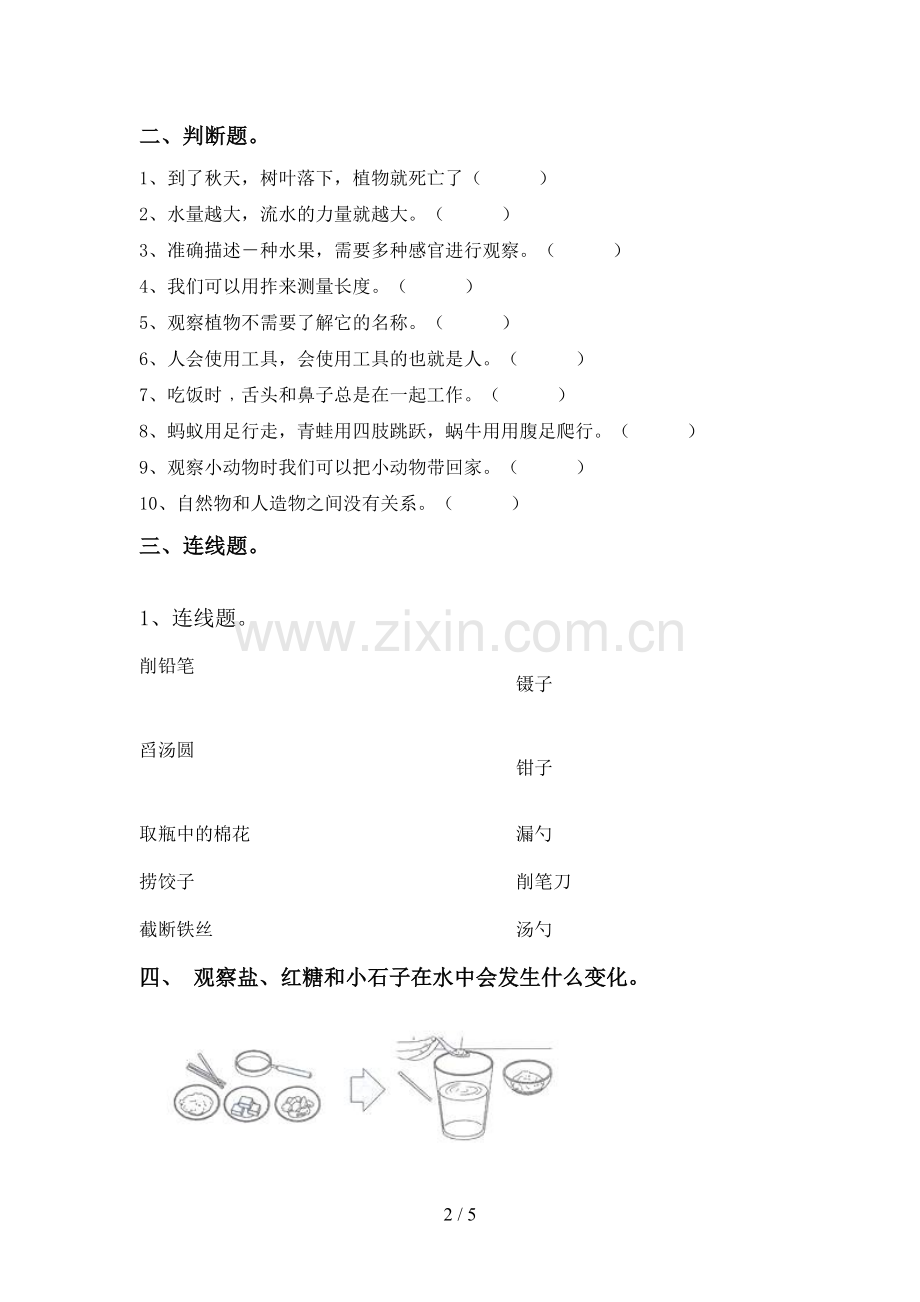 新教科版一年级科学下册期中考试卷(一套).doc_第2页