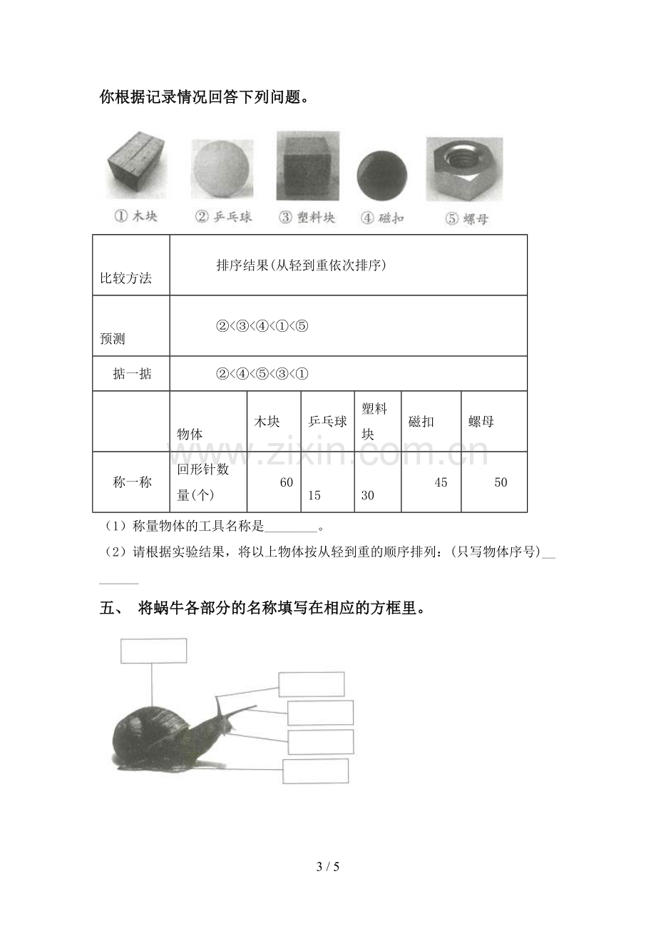 2022-2023年教科版一年级科学下册期中考试题【带答案】.doc_第3页