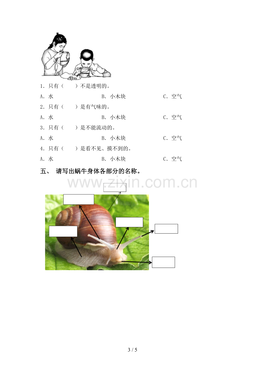 2022-2023年教科版一年级科学下册期中测试卷(参考答案).doc_第3页