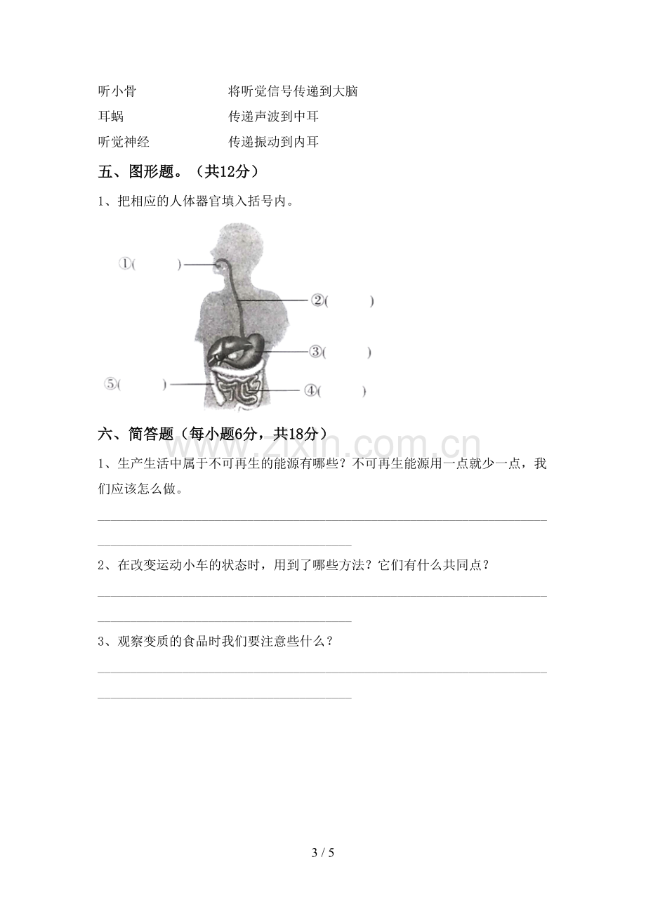 人教版四年级科学下册期中试卷(1套).doc_第3页