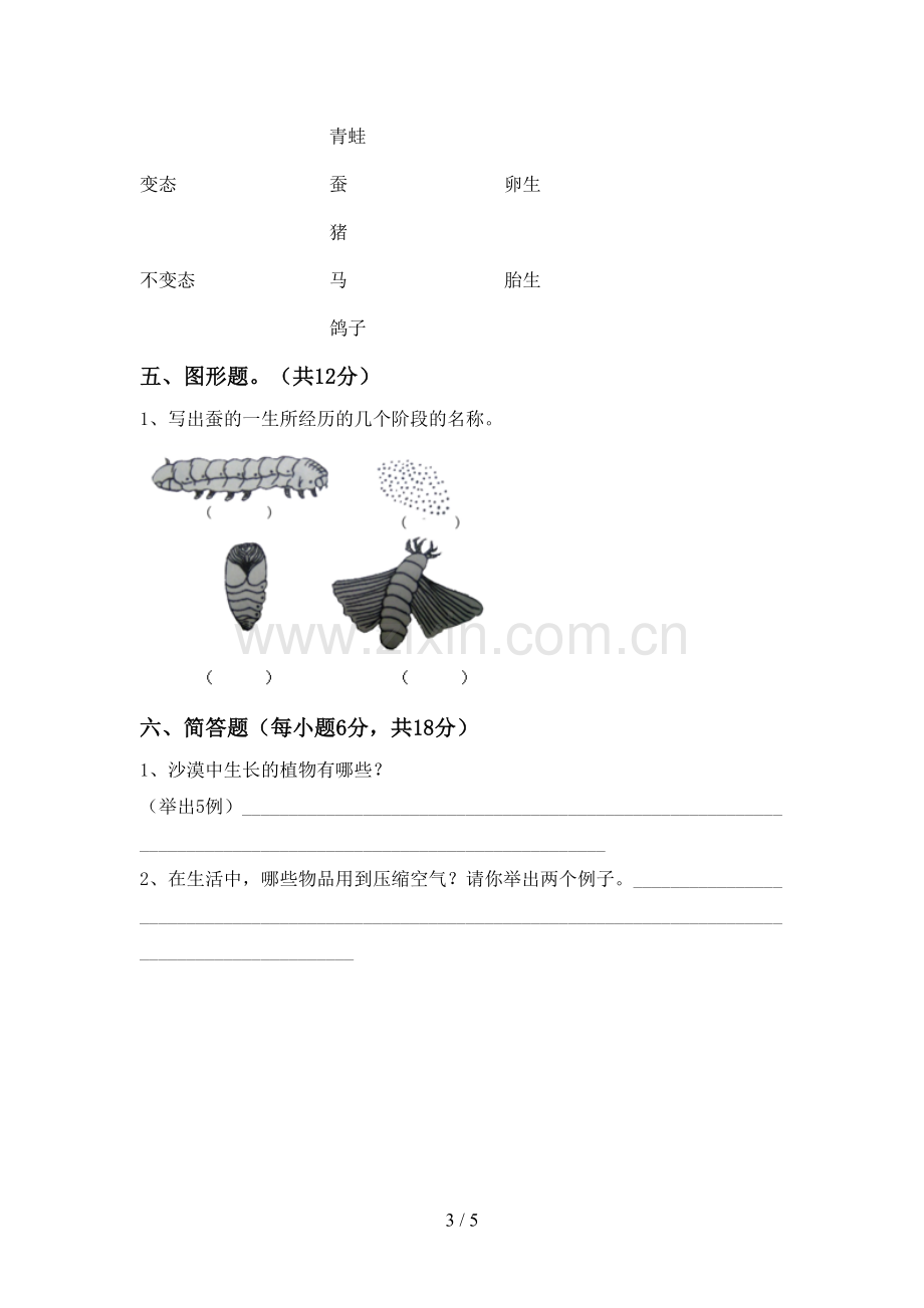 新人教版三年级科学下册期中考试卷及答案【可打印】.doc_第3页