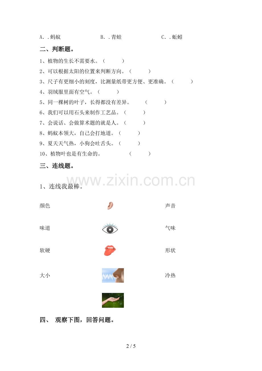 教科版一年级科学下册期中测试卷(可打印).doc_第2页