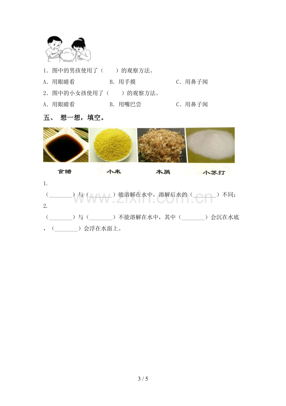 教科版一年级科学下册期中测试卷(可打印).doc_第3页