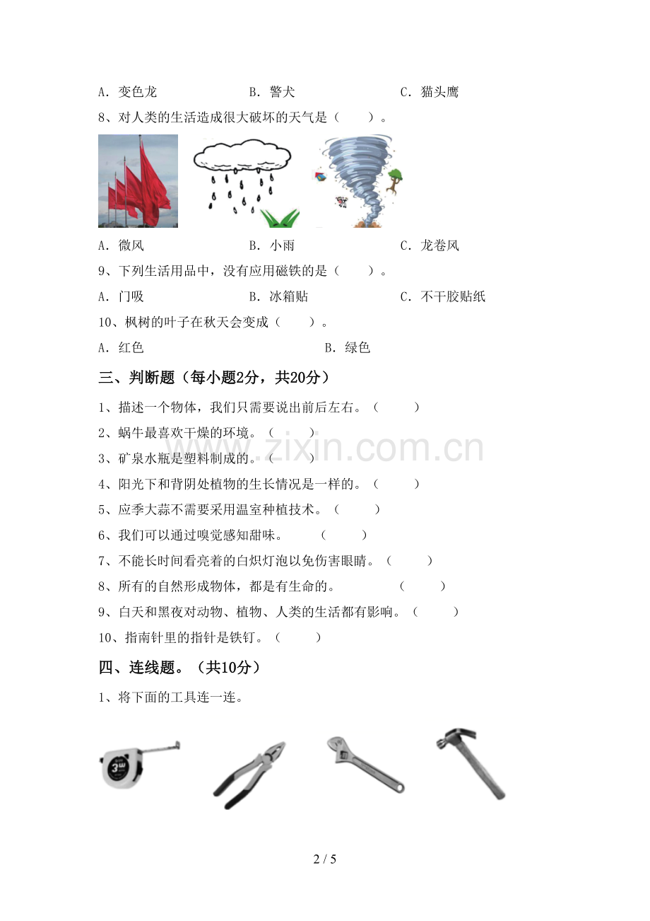 苏教版二年级科学下册期中试卷(加答案).doc_第2页