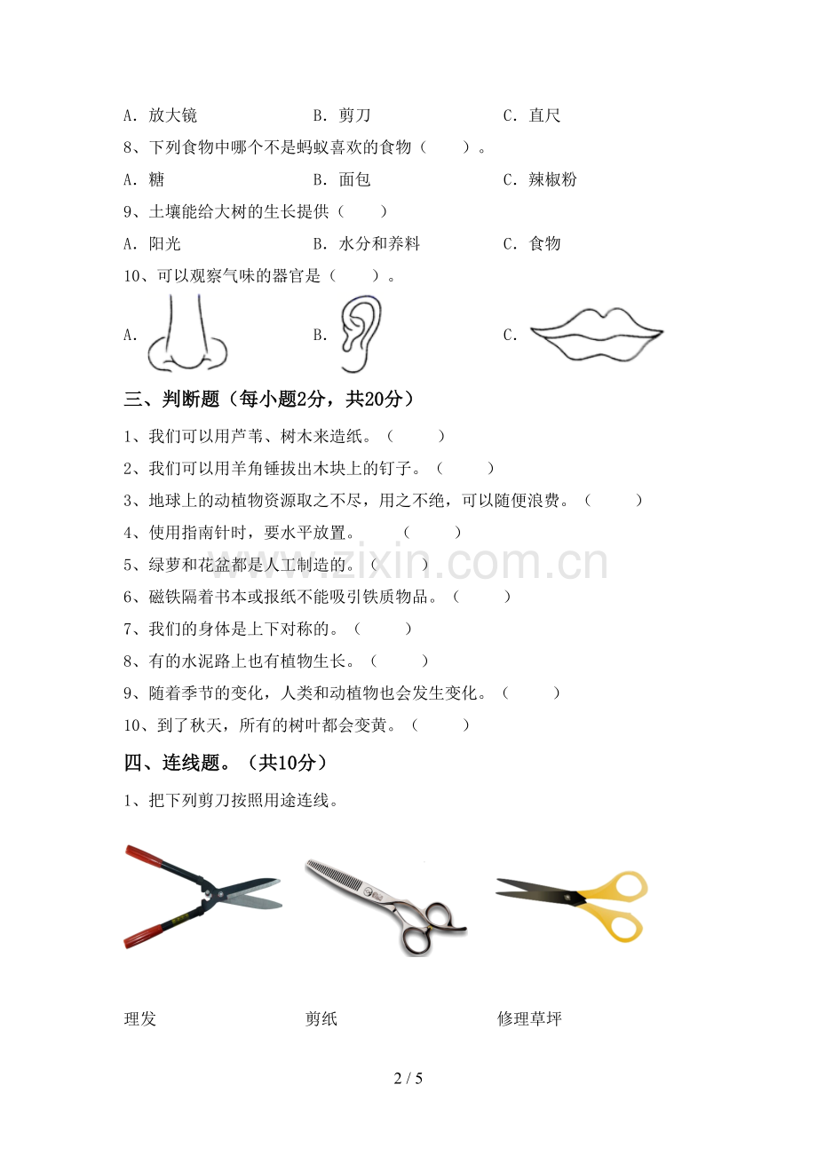 新教科版二年级科学下册期中试卷(及答案).doc_第2页