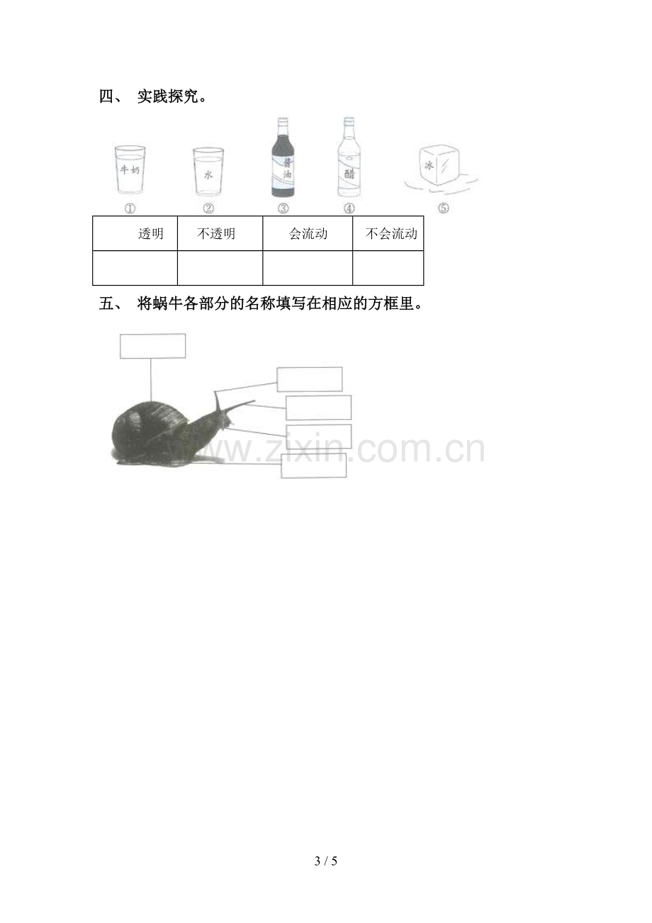 2022-2023年教科版一年级科学下册期中考试题【参考答案】.doc_第3页