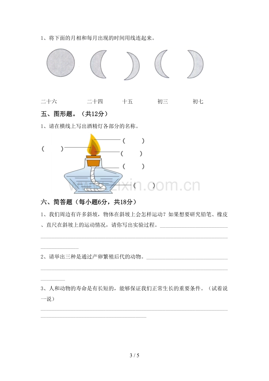 人教版三年级科学下册期中试卷.doc_第3页