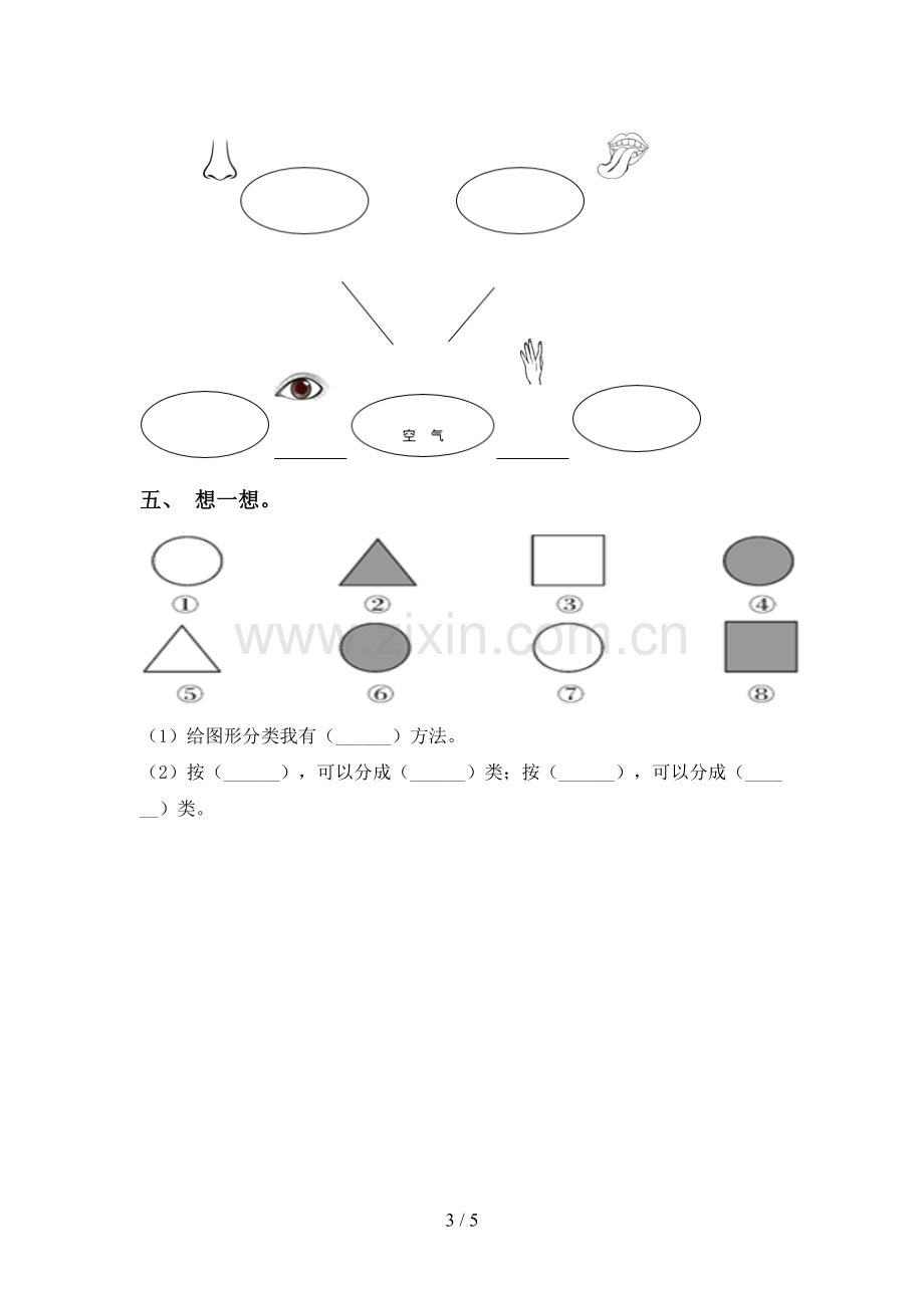 新人教版一年级科学下册期中考试卷及参考答案.doc_第3页