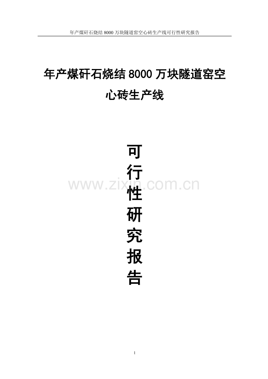 年产煤矸石烧结8000万块隧道窑空心砖生产线可行性分析报告.doc_第1页