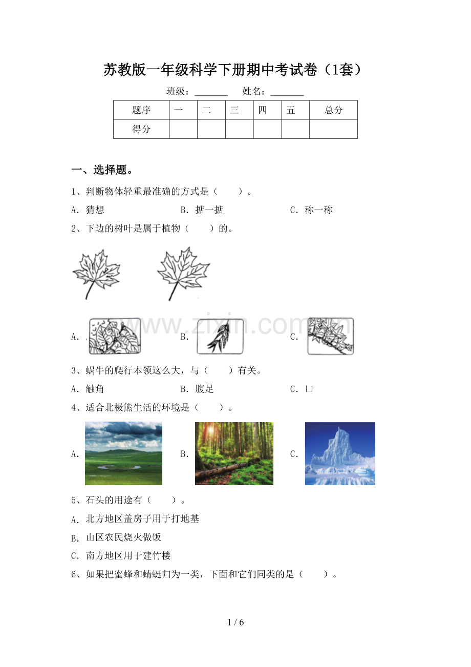 苏教版一年级科学下册期中考试卷(1套).doc_第1页