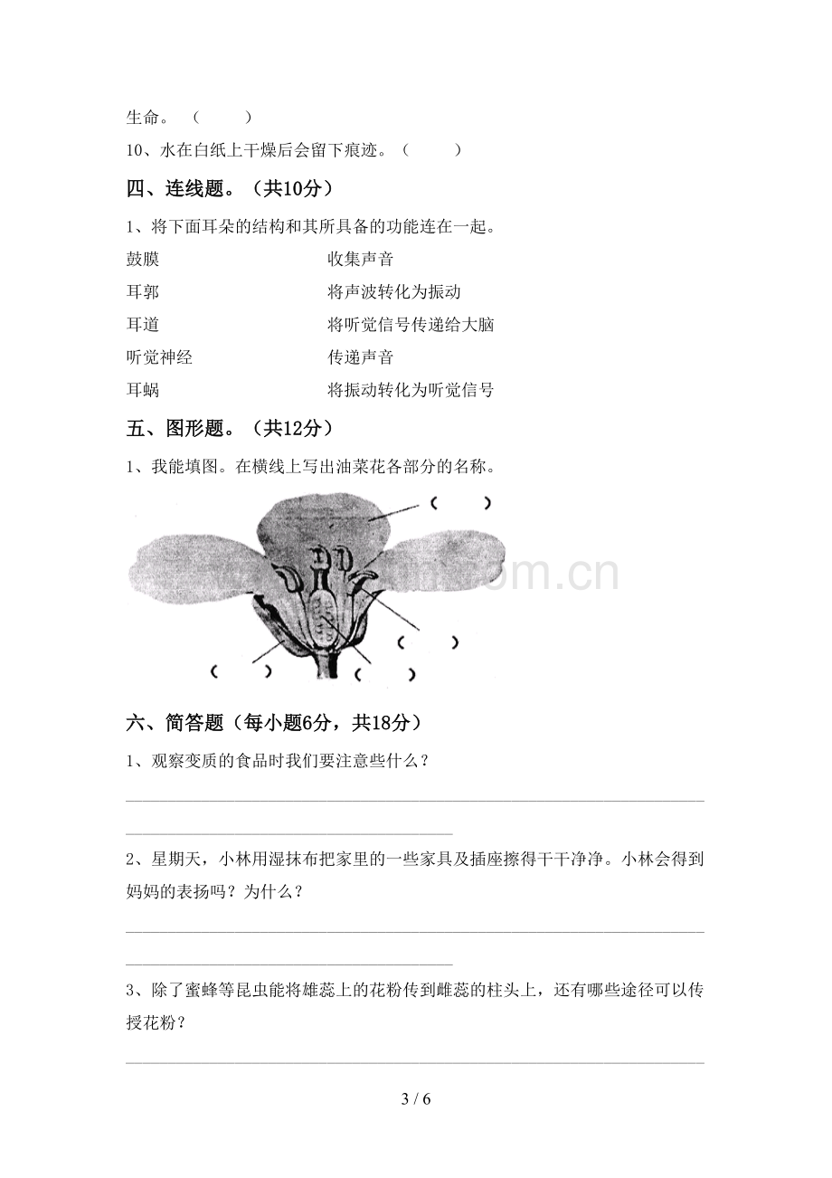 人教版四年级科学下册期中试卷及答案.doc_第3页