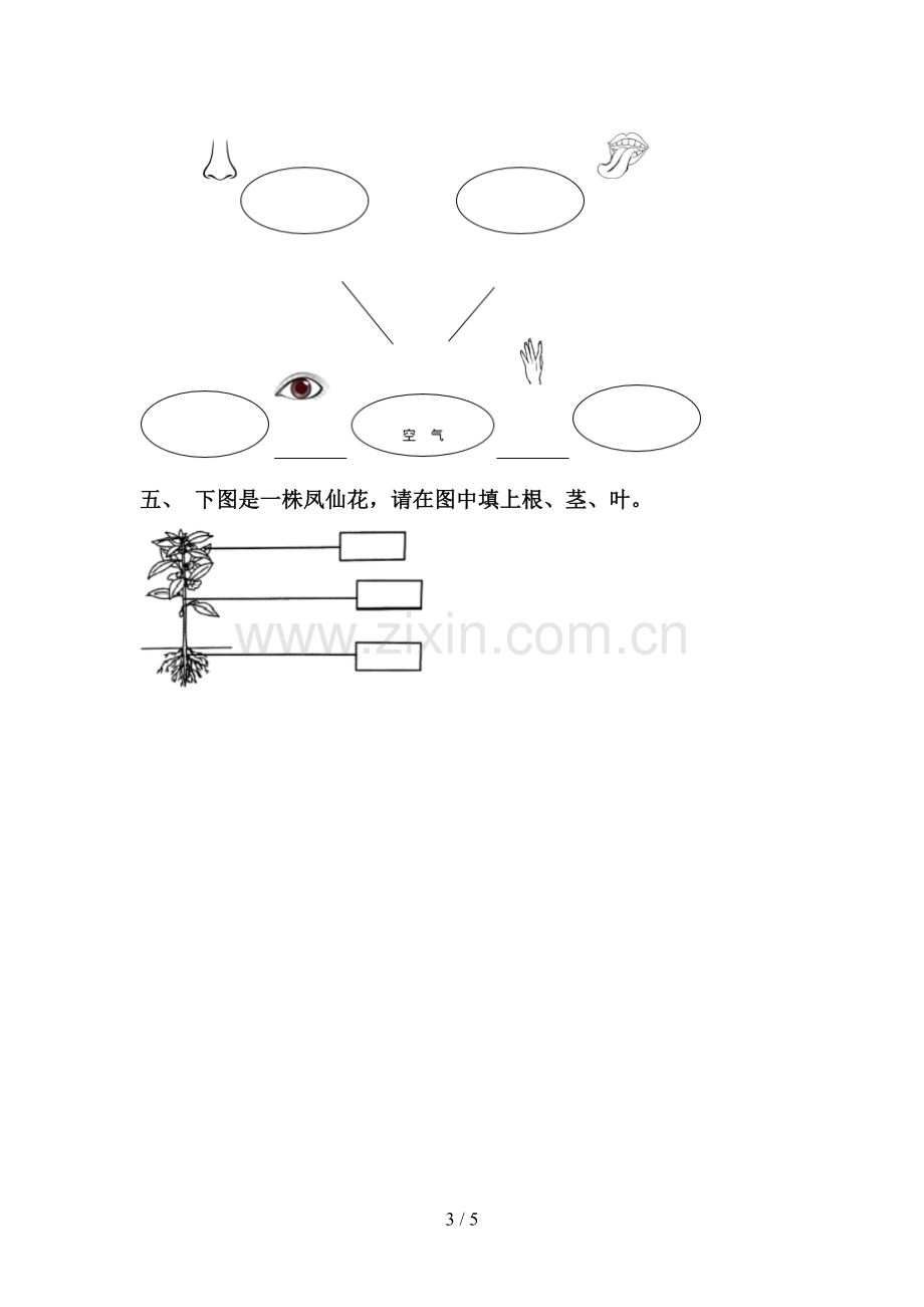 教科版一年级科学下册期中考试卷及答案一.doc_第3页