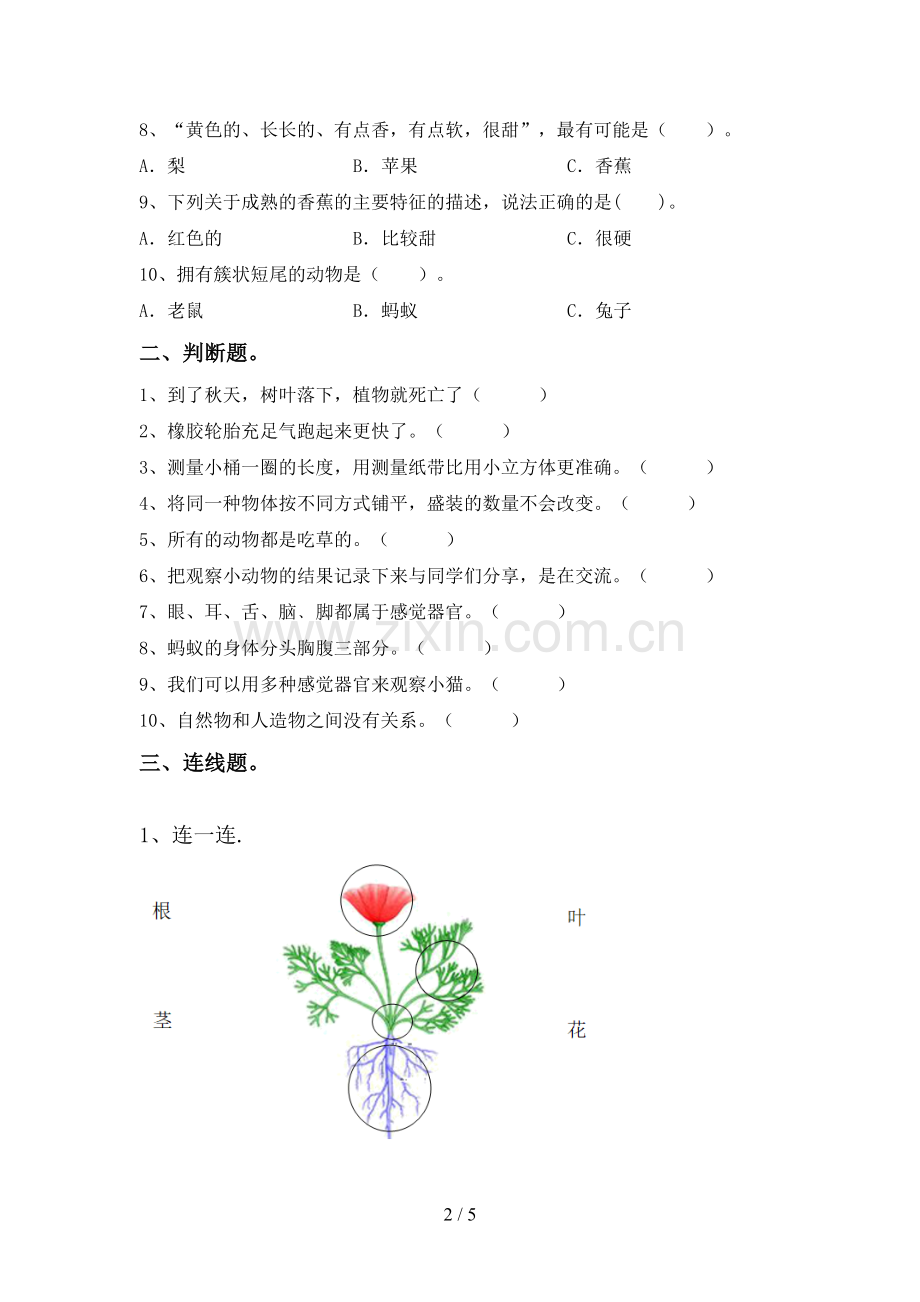 一年级科学下册期中考试卷及答案【A4版】.doc_第2页