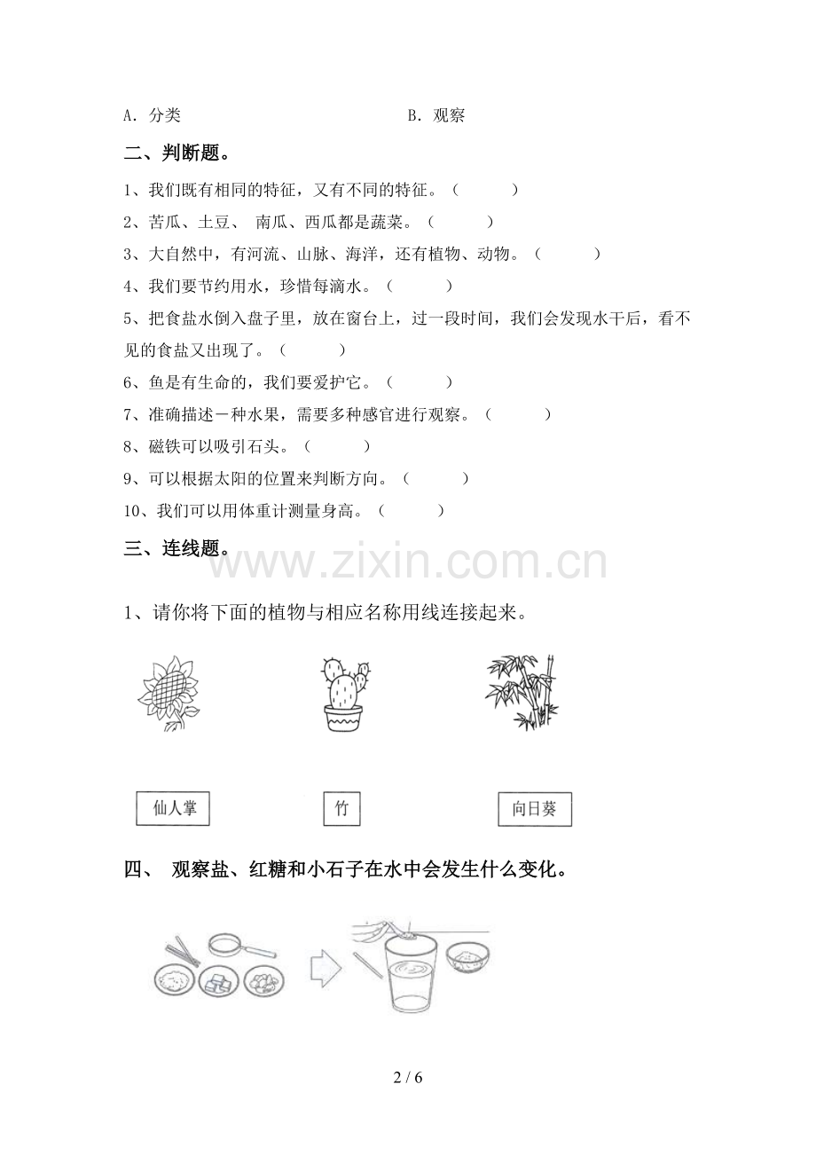 新教科版一年级科学下册期中测试卷及答案.doc_第2页