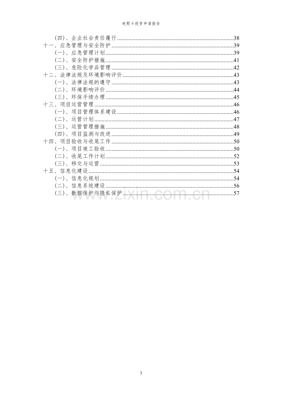 2024年电熨斗投资申请报告.docx_第3页