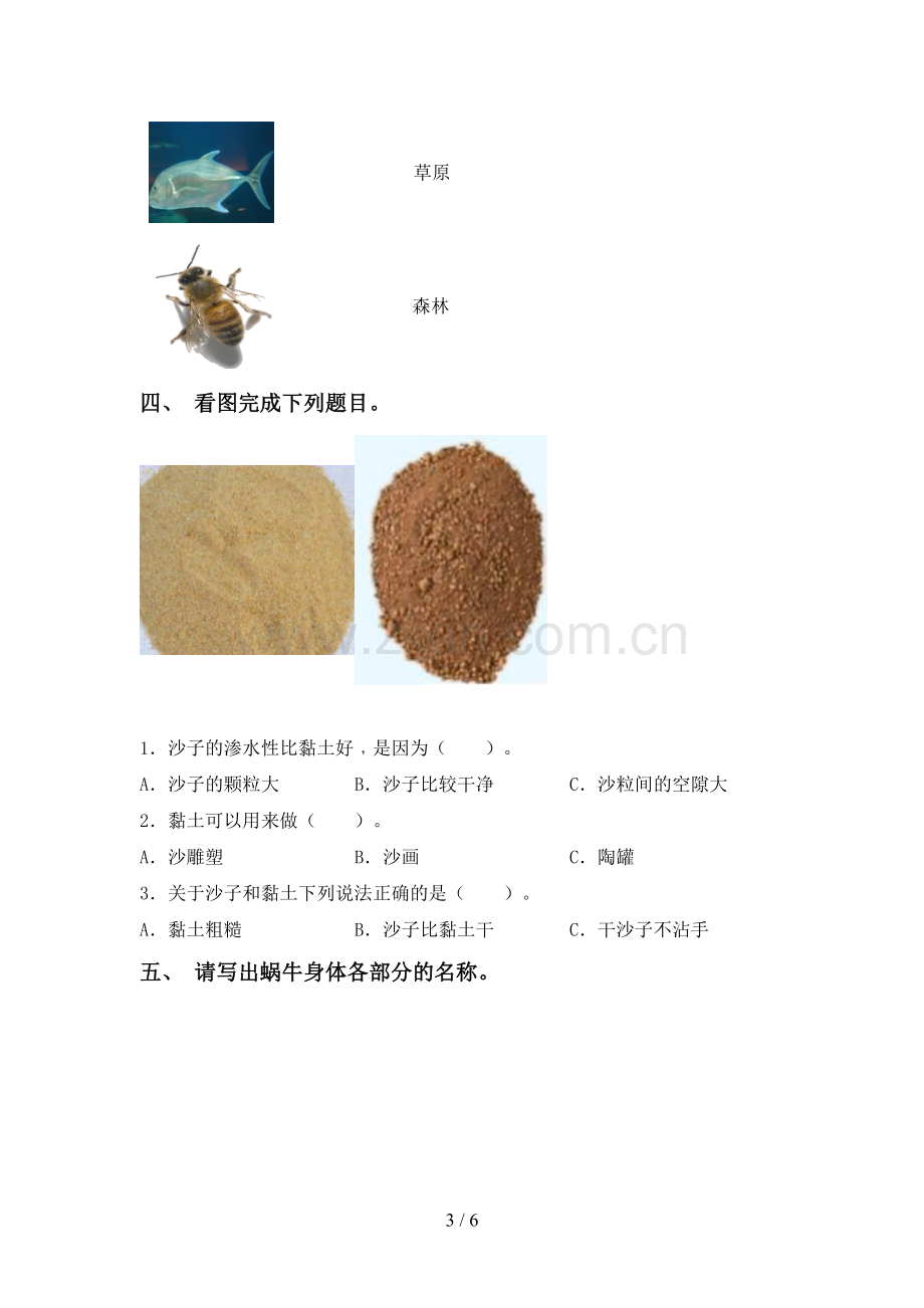 一年级科学下册期中试卷.doc_第3页