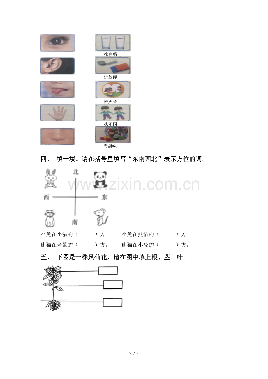 新教科版一年级科学下册期中考试卷(含答案).doc_第3页