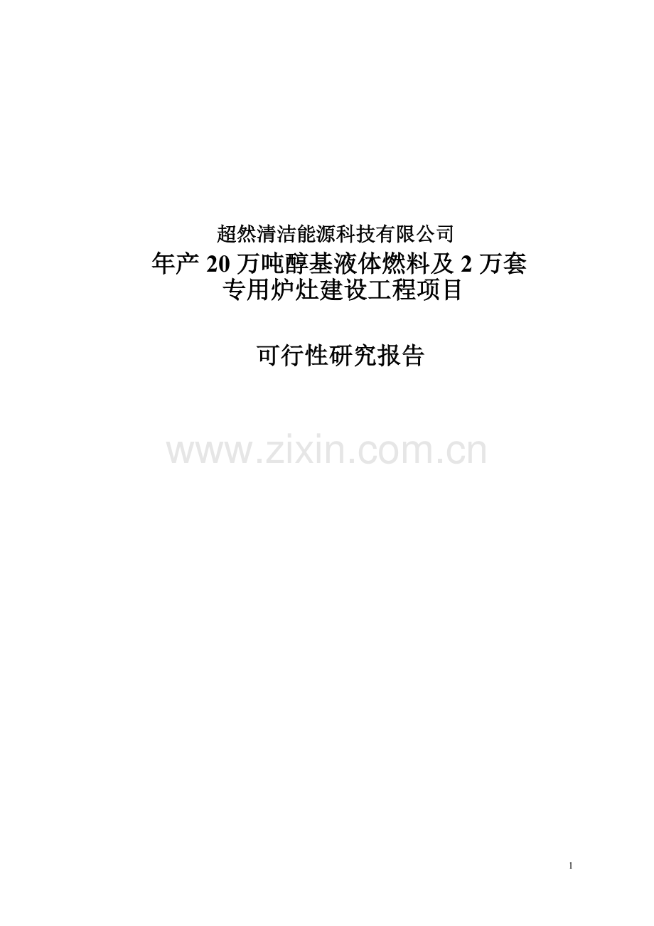 年产20万吨醇基液体燃料及2万套专用炉灶建设工程项目可行性论证报告.doc_第1页