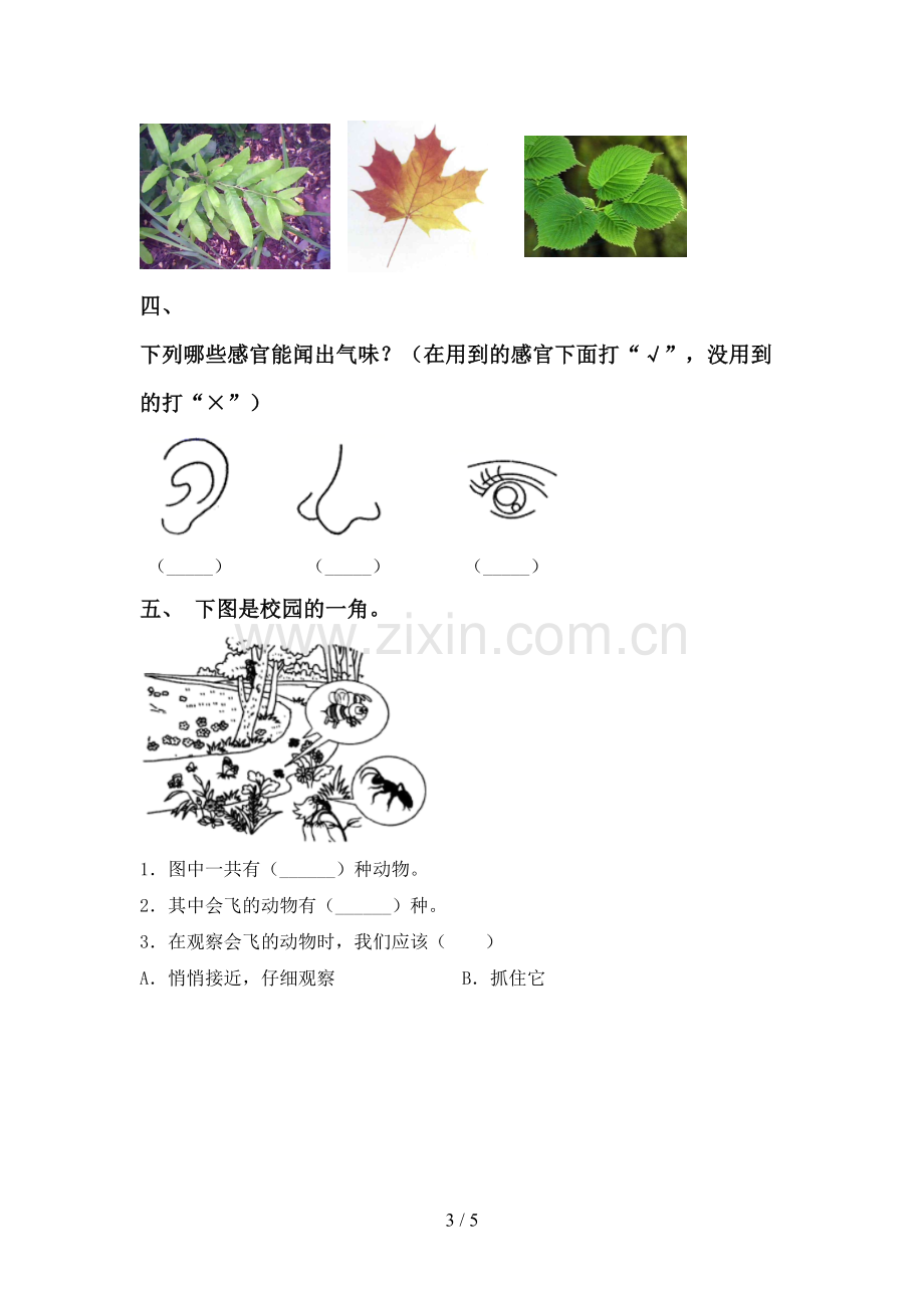 2022-2023年人教版一年级科学下册期中测试卷【带答案】.doc_第3页