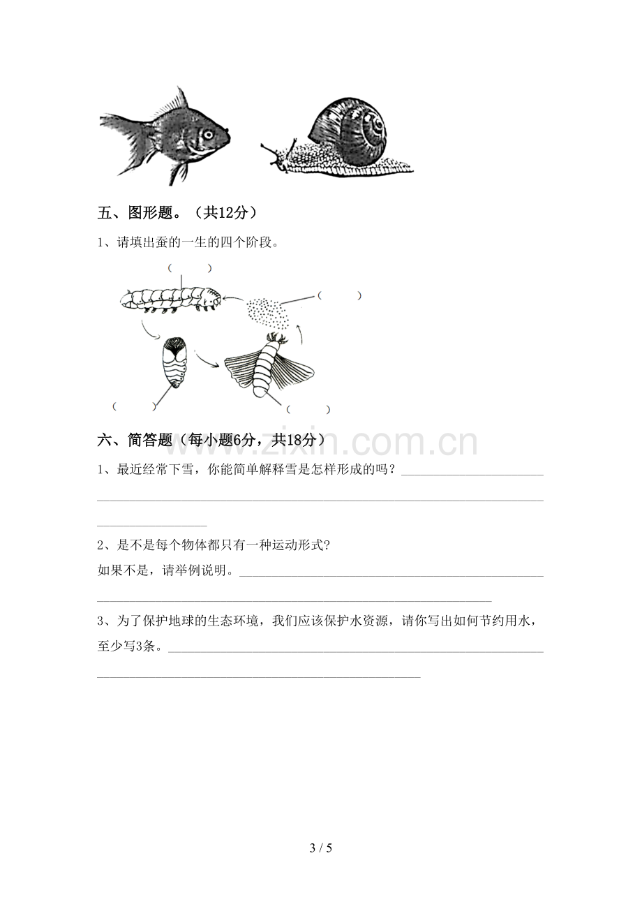 新人教版三年级科学下册期中试卷(汇总).doc_第3页