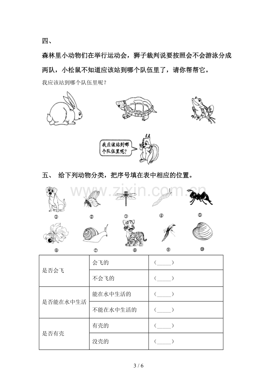 新教科版一年级科学下册期中考试题及答案下载.doc_第3页