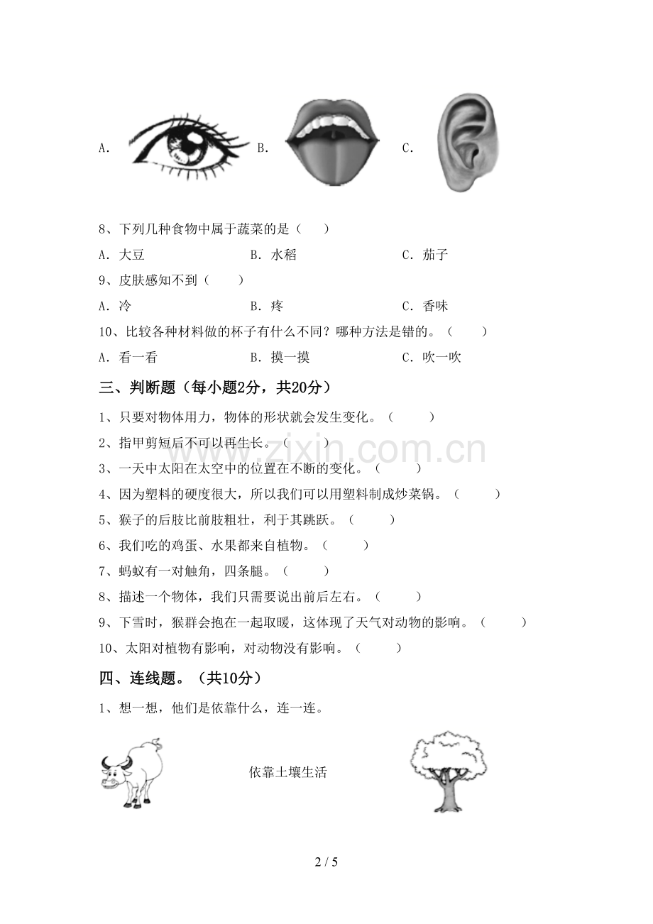 2023年教科版二年级科学下册期中试卷及答案【各版本】.doc_第2页