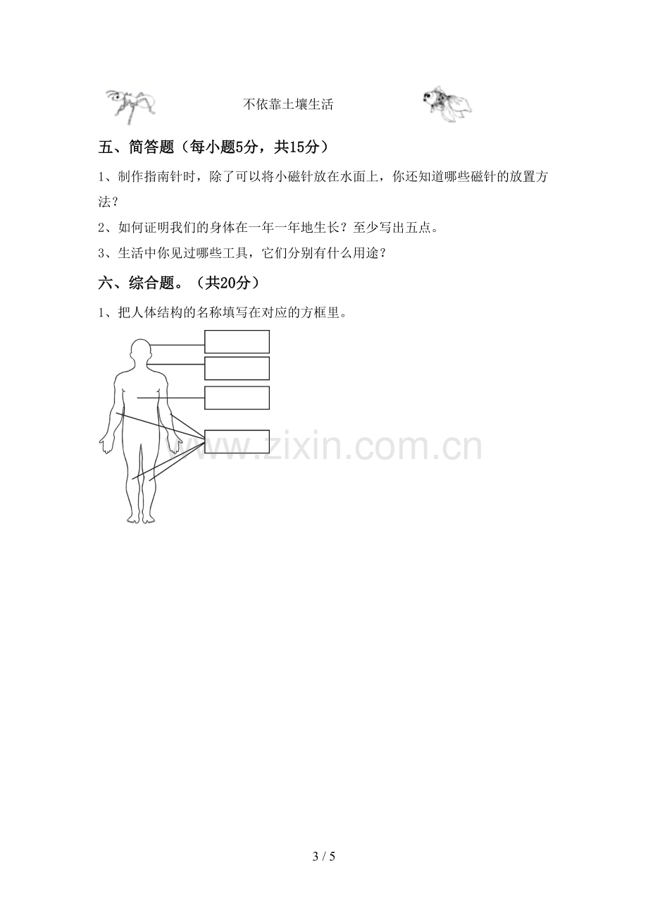 2023年教科版二年级科学下册期中试卷及答案【各版本】.doc_第3页