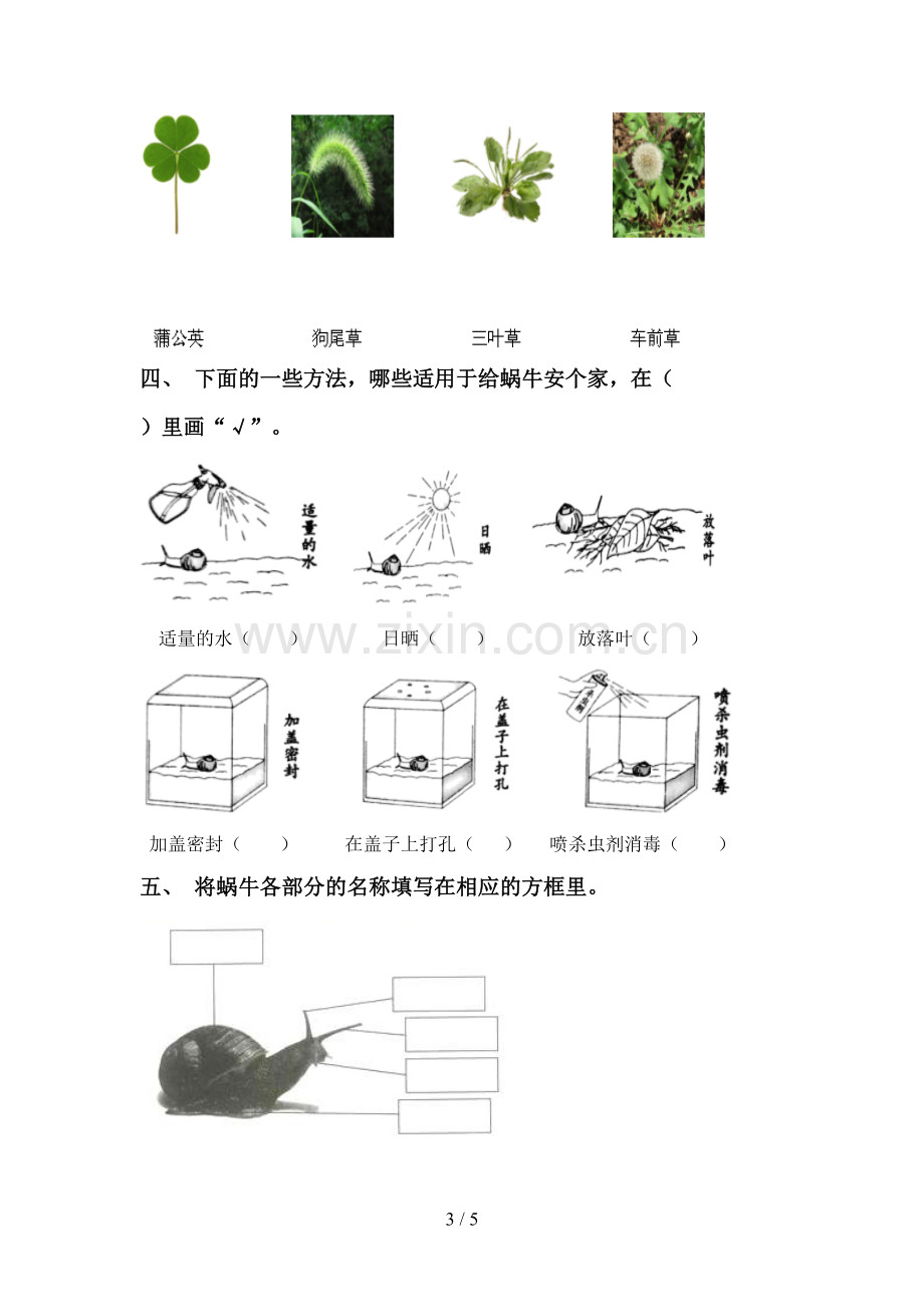 新教科版一年级科学下册期中测试卷及答案【汇总】.doc_第3页