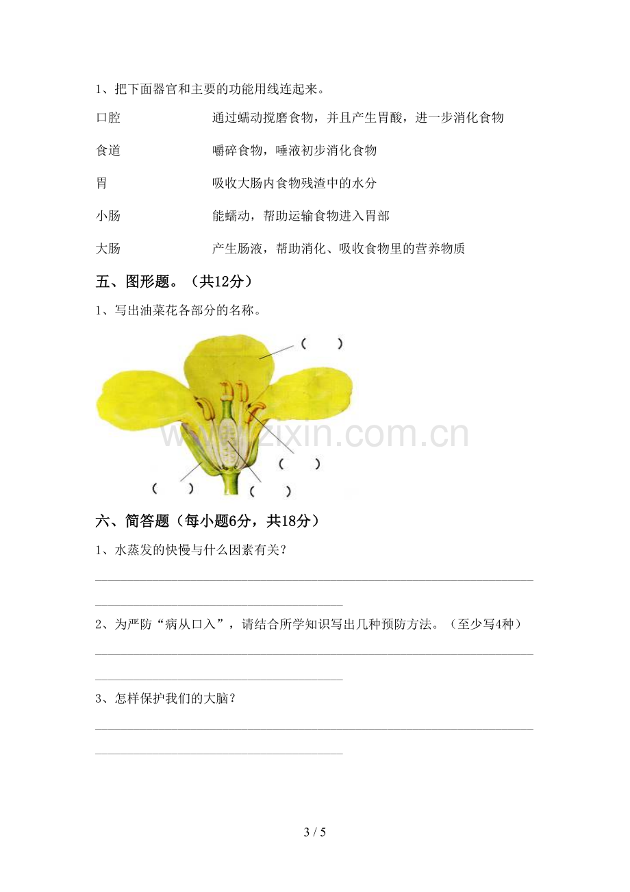 教科版四年级科学下册期中考试卷及答案(1).doc_第3页