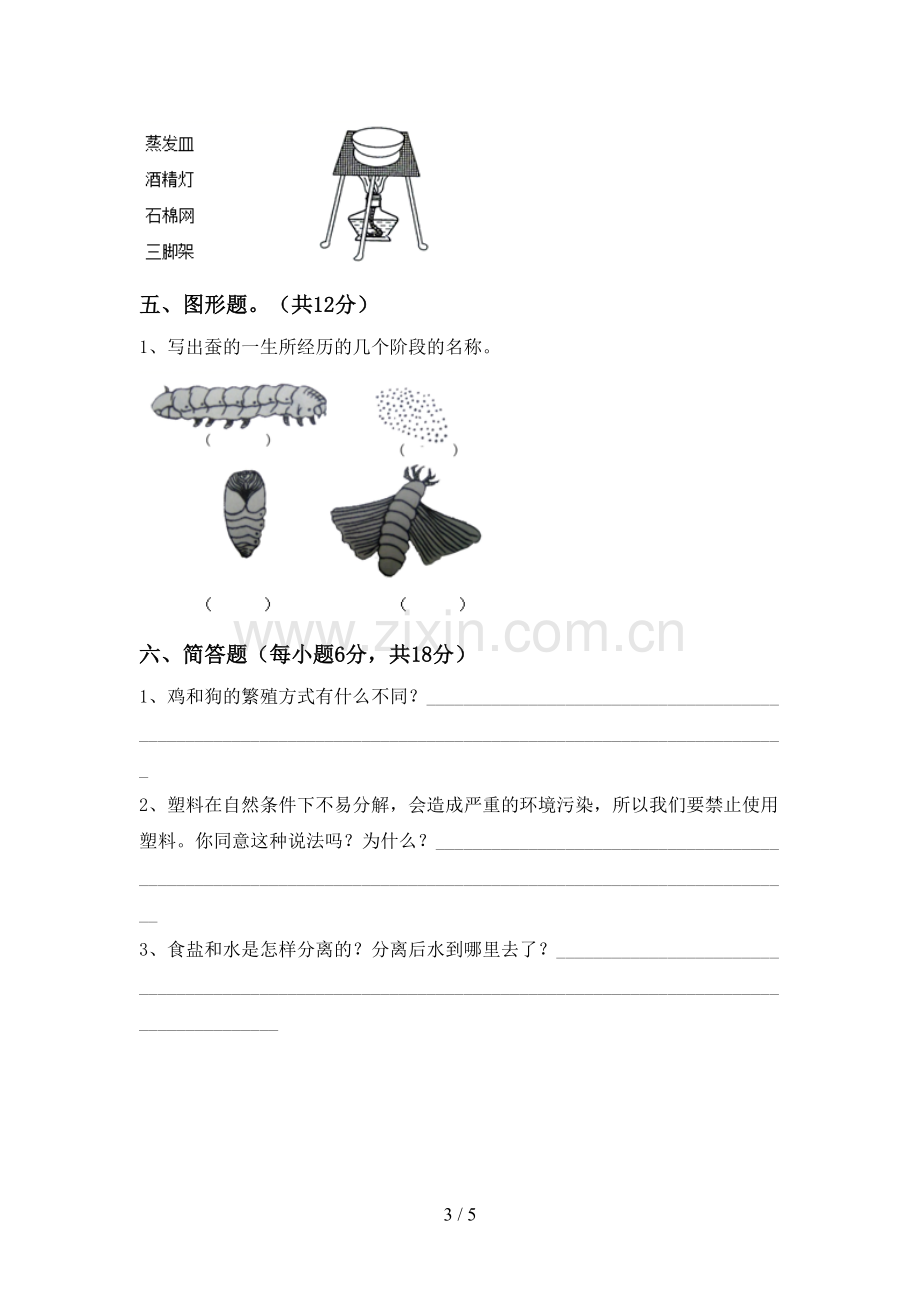 苏教版三年级科学下册期中试卷及答案.doc_第3页