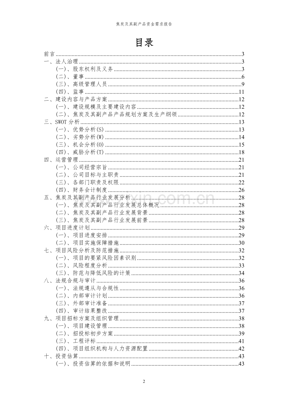 2024年焦炭及其副产品项目资金需求报告.docx_第2页