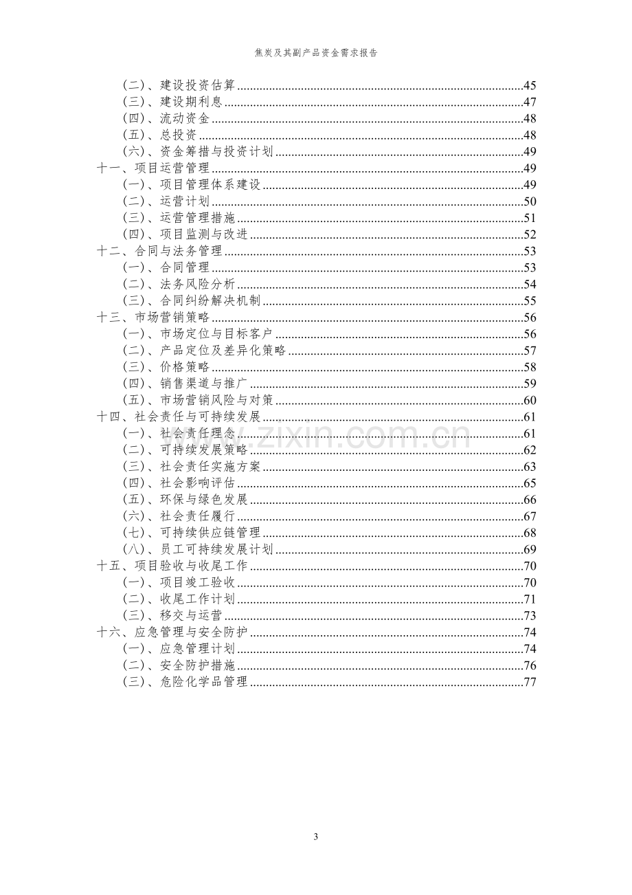 2024年焦炭及其副产品项目资金需求报告.docx_第3页