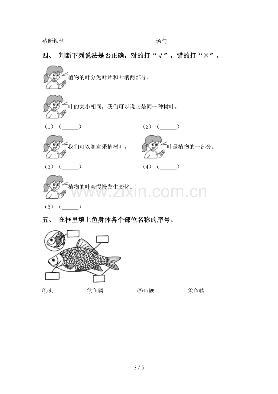 2022-2023年教科版一年级科学下册期中考试题及答案.doc_第3页