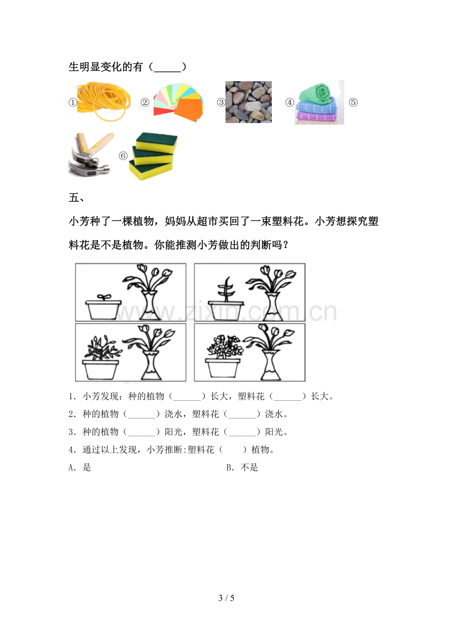 一年级科学下册期中测试卷及答案【汇总】.doc_第3页