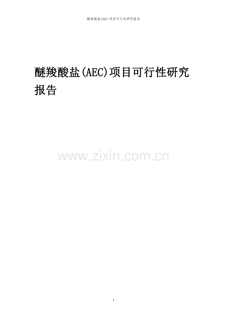 2024年醚羧酸盐(AEC)项目可行性研究报告.docx_第1页