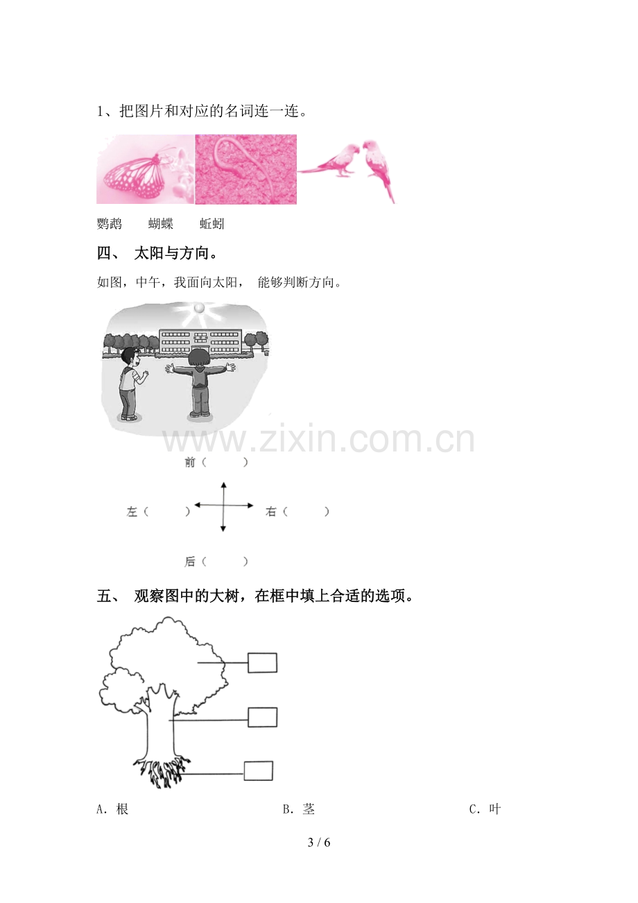 教科版一年级科学下册期中测试卷及答案【汇编】.doc_第3页