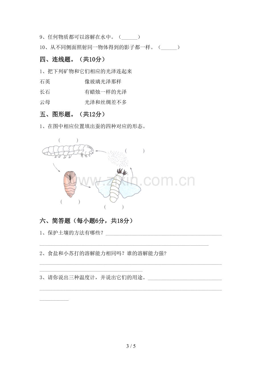 人教版三年级科学下册期中测试卷.doc_第3页