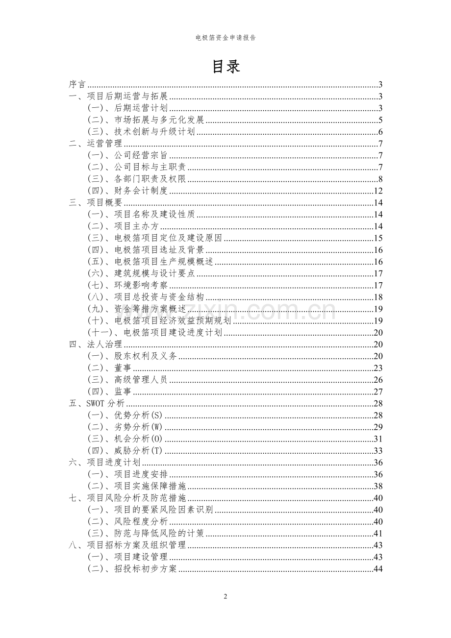 2024年电极箔投资项目资金申请报告.docx_第2页