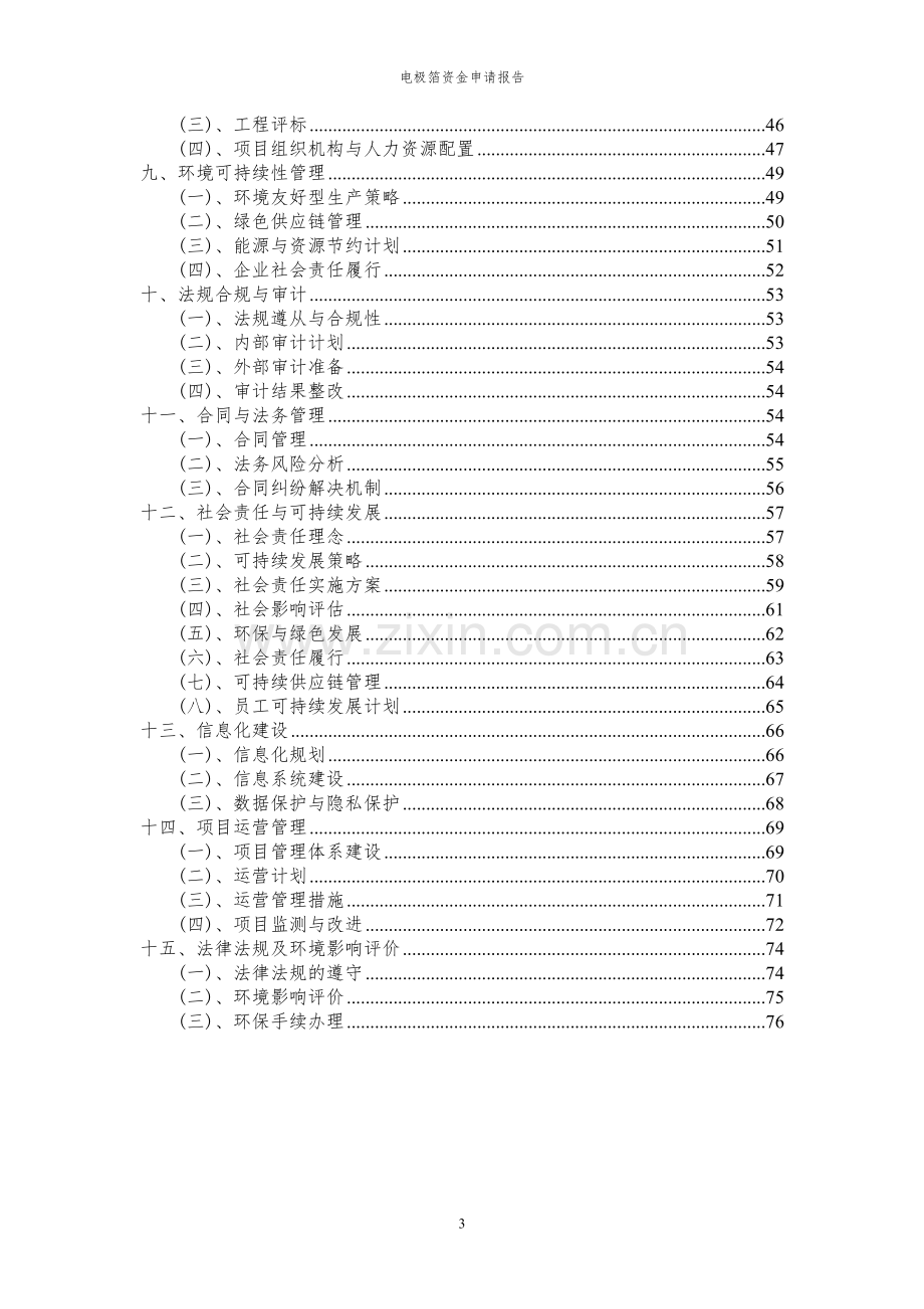 2024年电极箔投资项目资金申请报告.docx_第3页