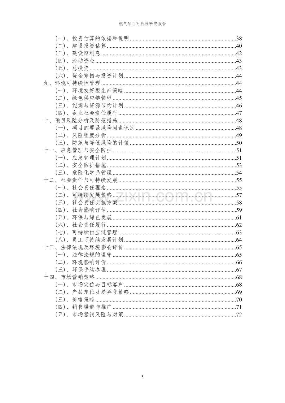 2024年燃气项目可行性研究报告.docx_第3页