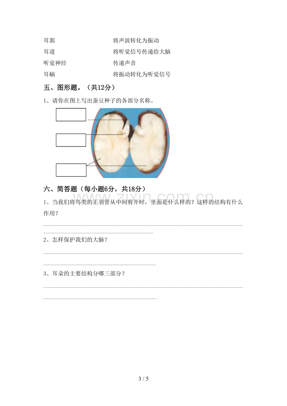 新教科版四年级科学下册期中考试题含答案.doc_第3页