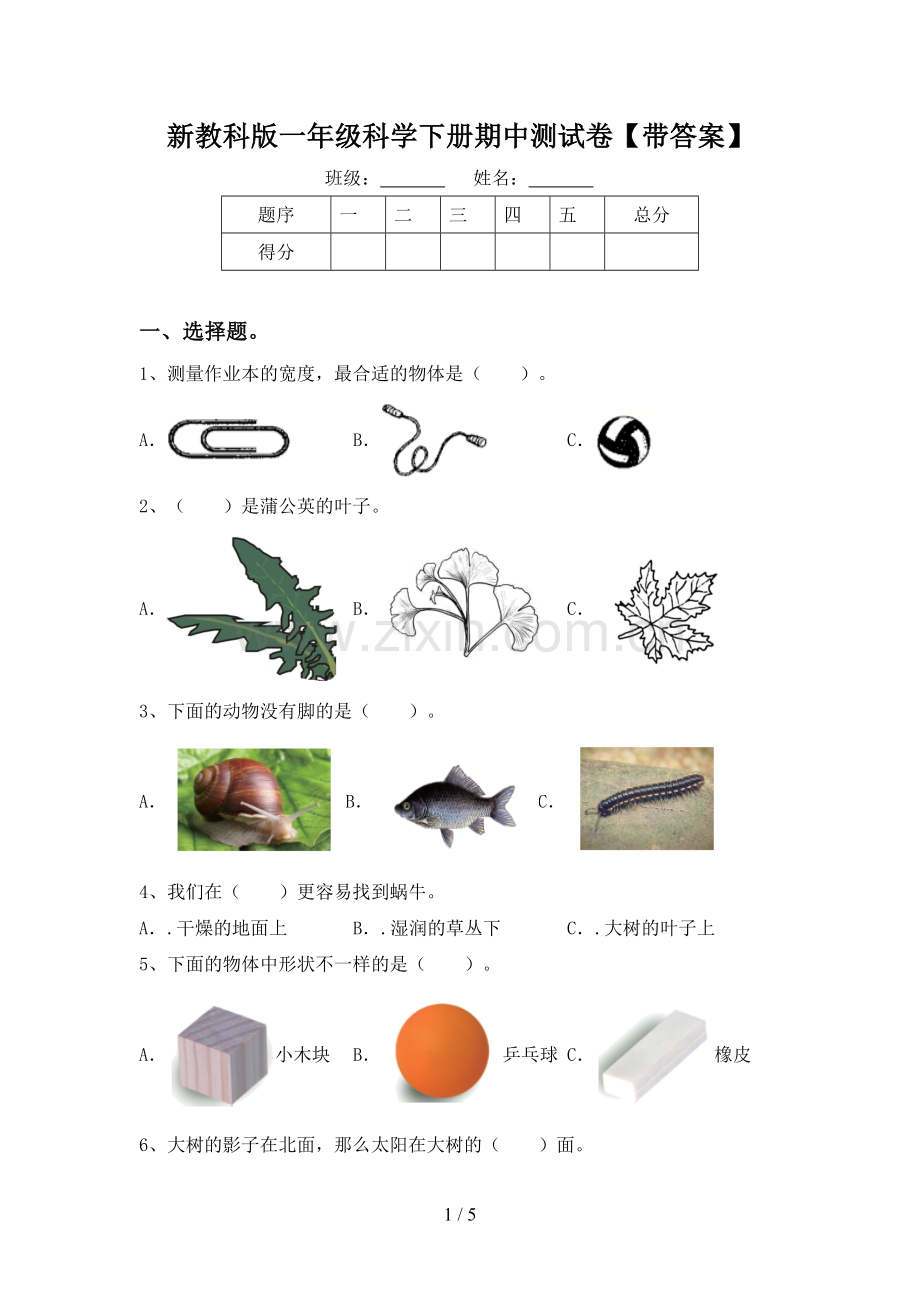 新教科版一年级科学下册期中测试卷【带答案】.doc_第1页