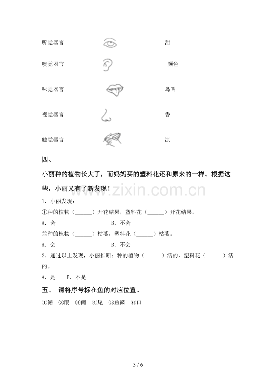 一年级科学下册期中考试题【带答案】.doc_第3页