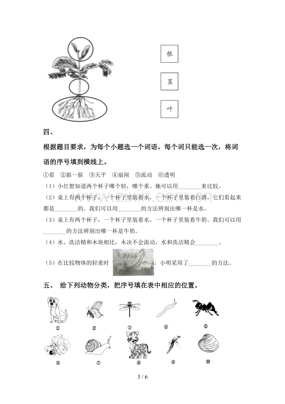 2022-2023年教科版一年级科学下册期中考试卷(新版).doc_第3页