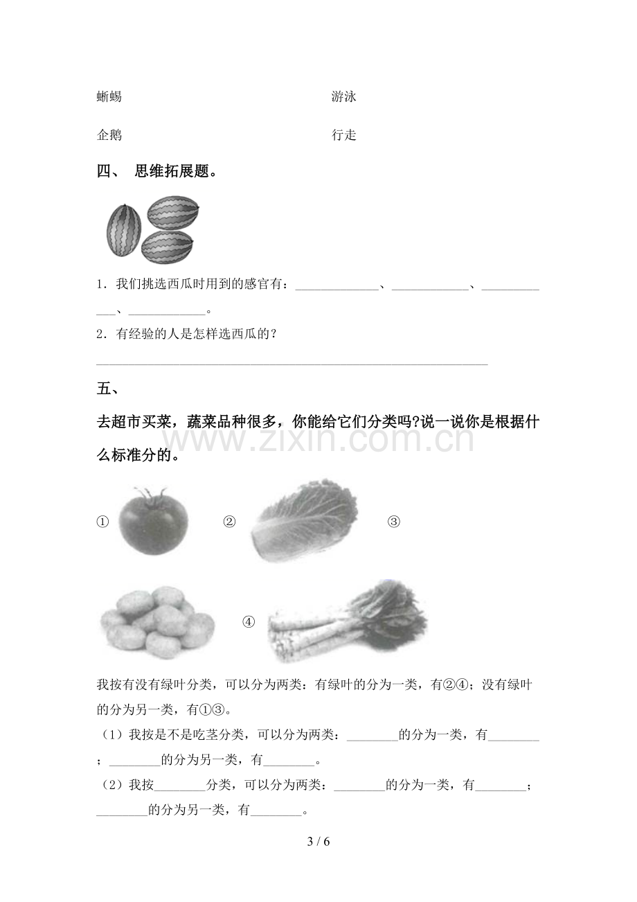 2023年教科版一年级科学下册期中考试卷及答案【汇编】.doc_第3页