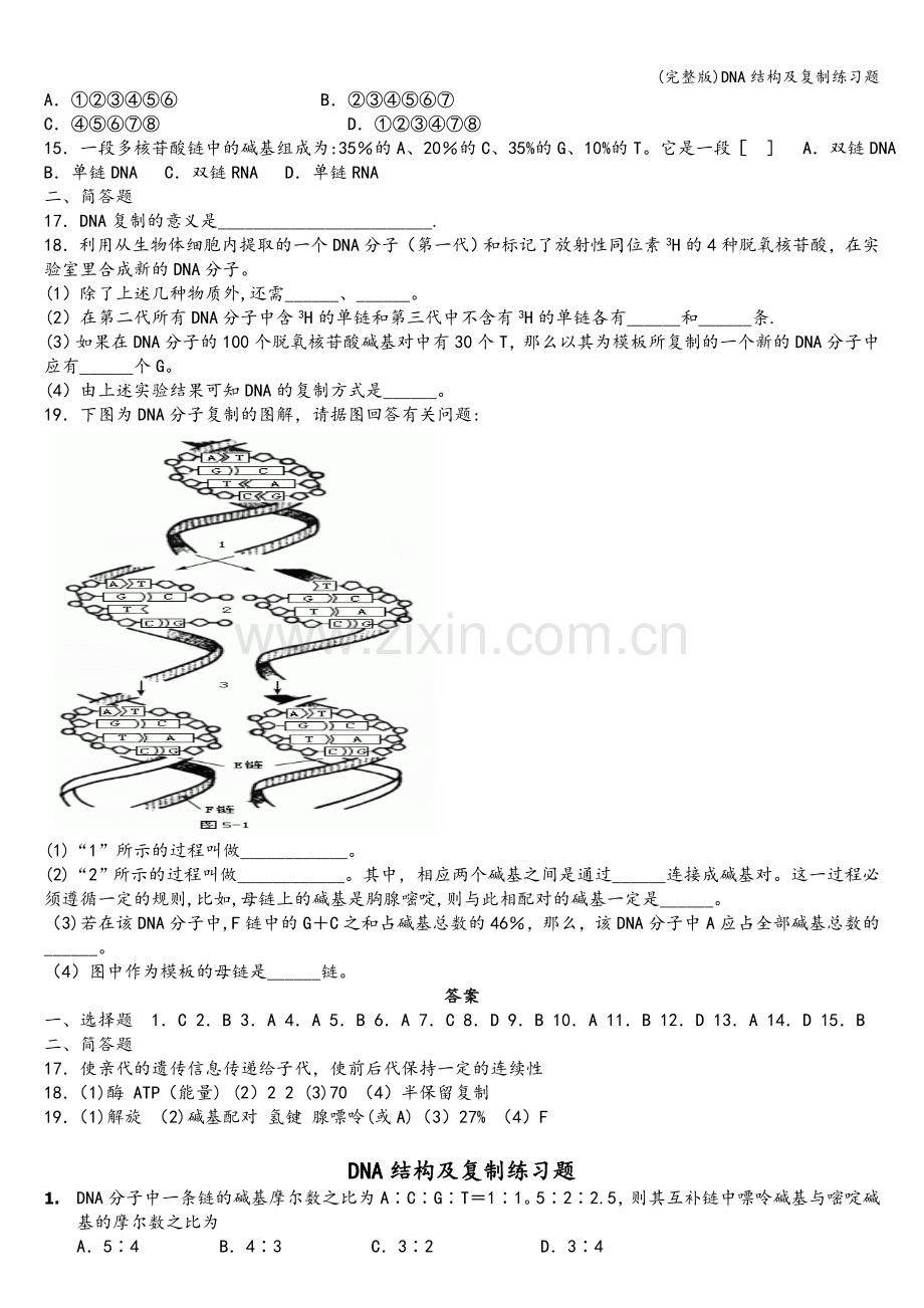 DNA结构及复制练习题.doc_第2页