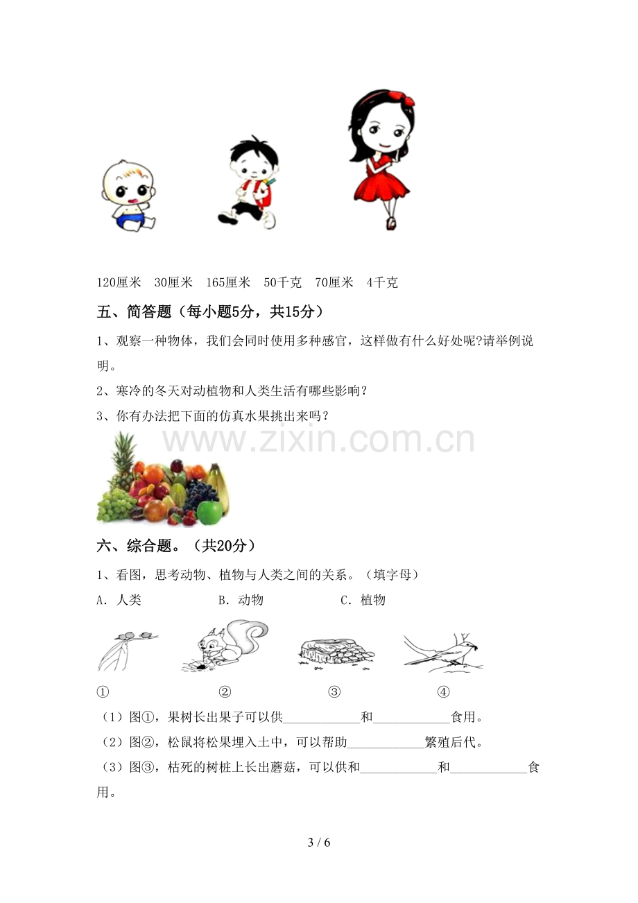 苏教版二年级科学下册期中考试题(1套).doc_第3页