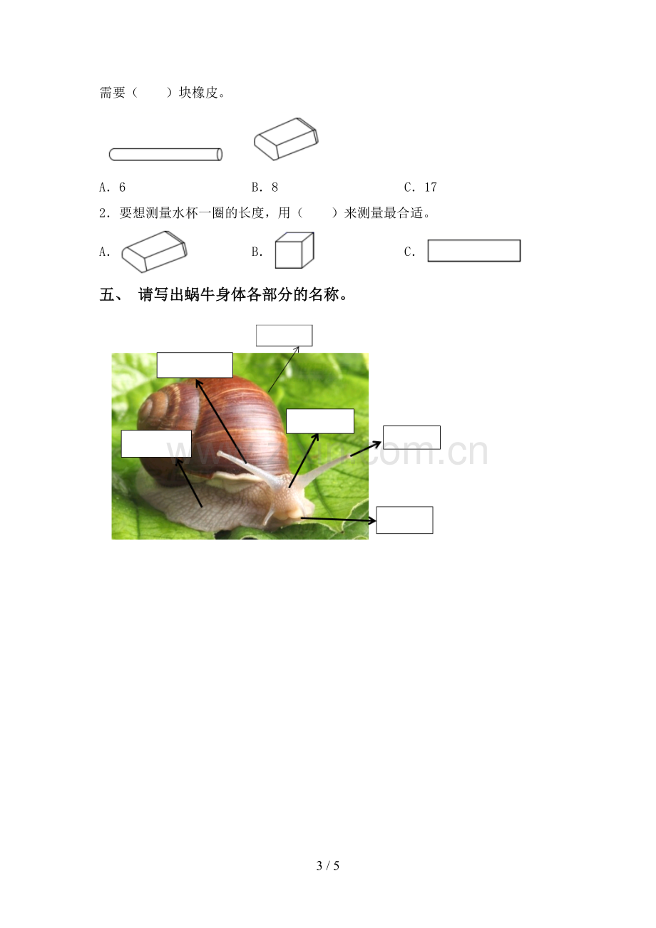 一年级科学下册期中考试题及答案1套.doc_第3页