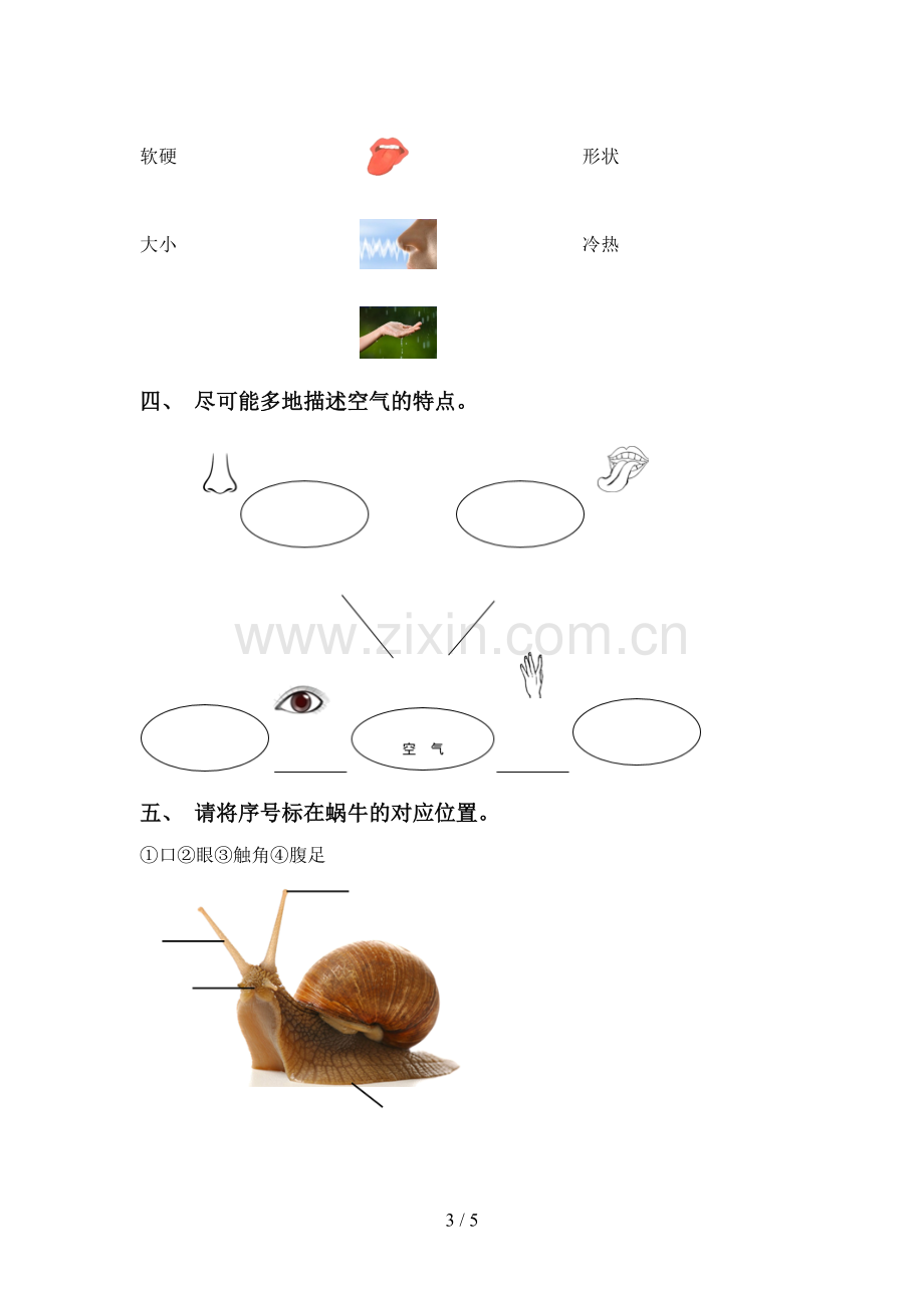 一年级科学下册期中考试题及答案【全面】.doc_第3页